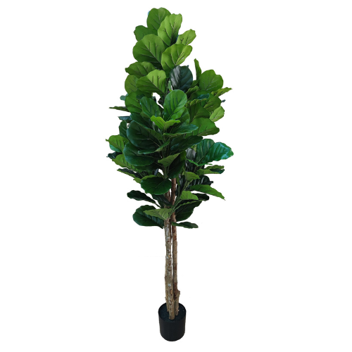 NeverLeafs Vioolbladplant kunstplant 185 cm - Stijlvolle vioolbladplant